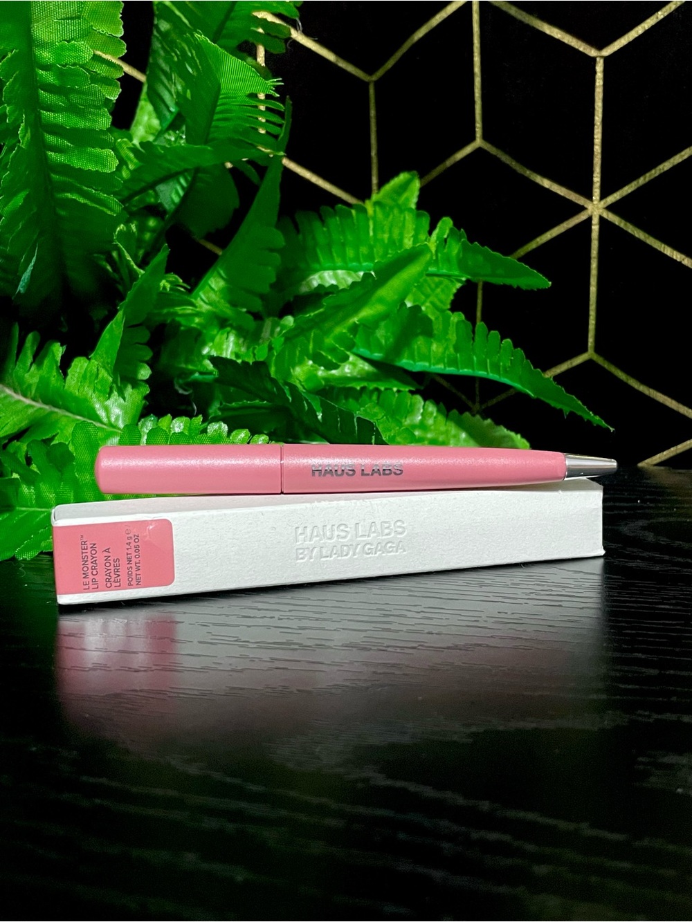 Haus Labs By Lady Gaga Lip Crayon — Light Peony Matte